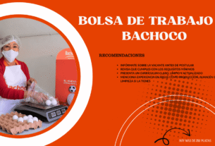 Colaboradores comprometidos de Bachoco trabajando en equipo con pasión y responsabilidad.
