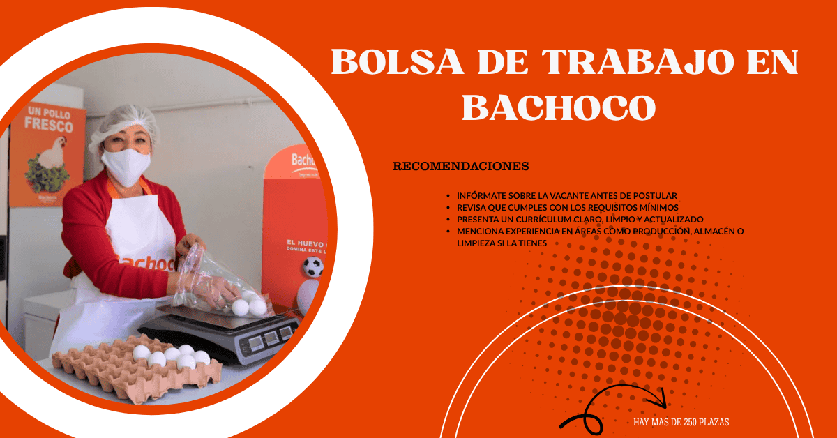 Colaboradores comprometidos de Bachoco trabajando en equipo con pasión y responsabilidad.